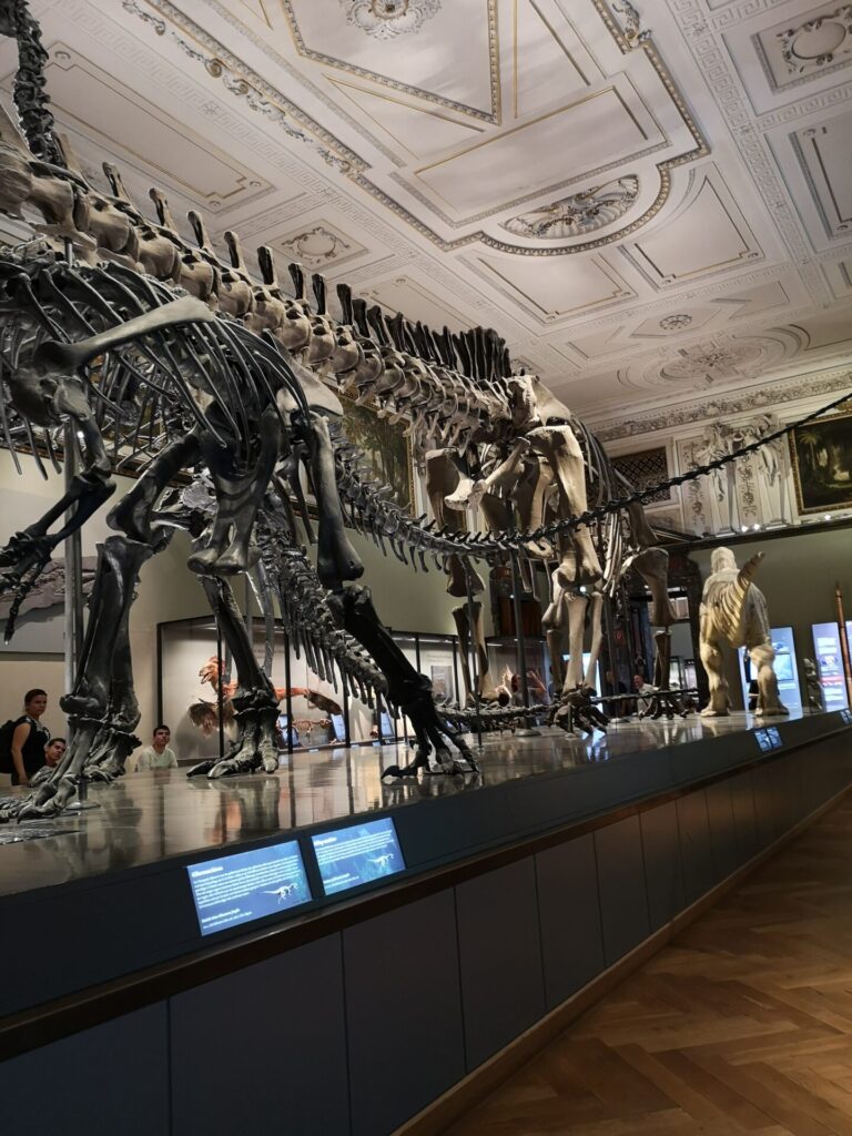 Naturhistorisk Museum i Wien set udefra med den monumentale historiske bygning og kuppel mod en klar himmel.